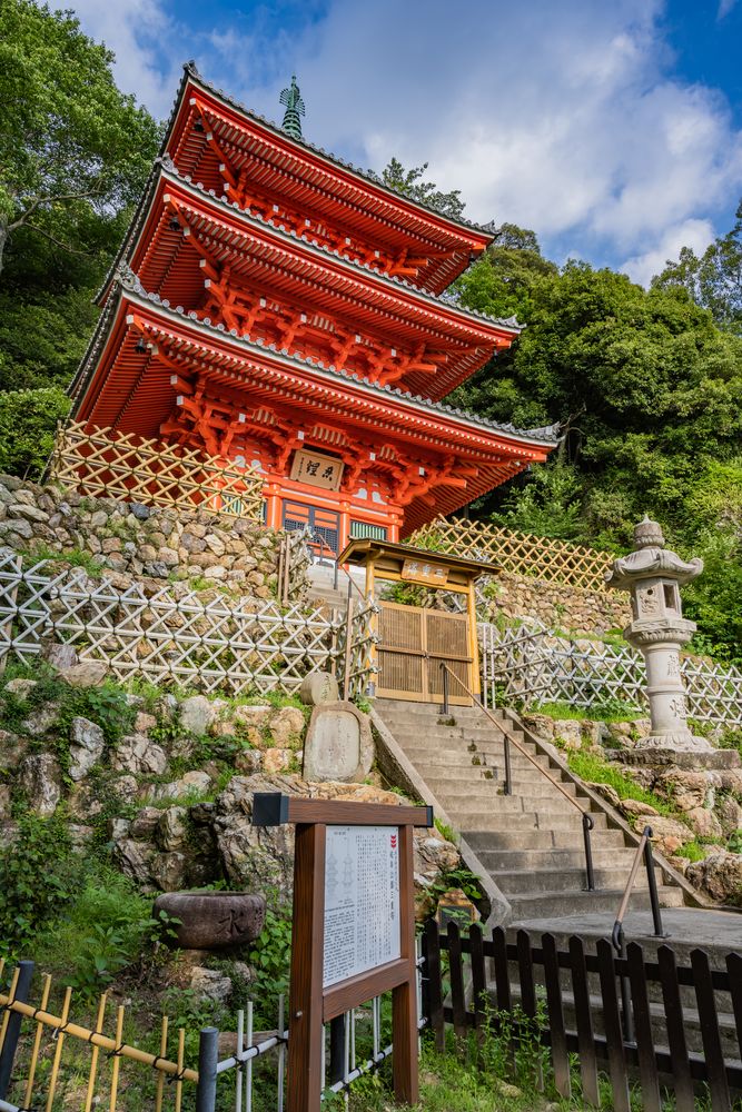 岐阜公園の画像 - 5枚目