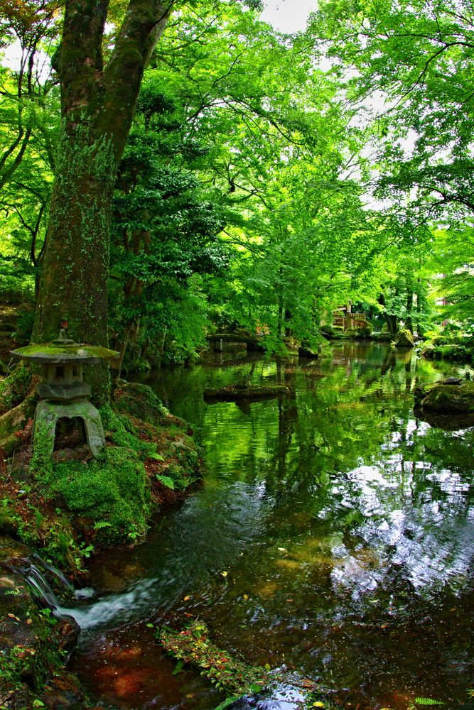 岐阜公園の画像 - 6枚目