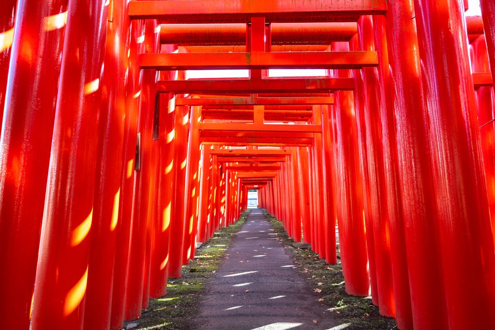 小泉稲荷神社】の周辺スポット・アクセス・口コミ - Prism Japan