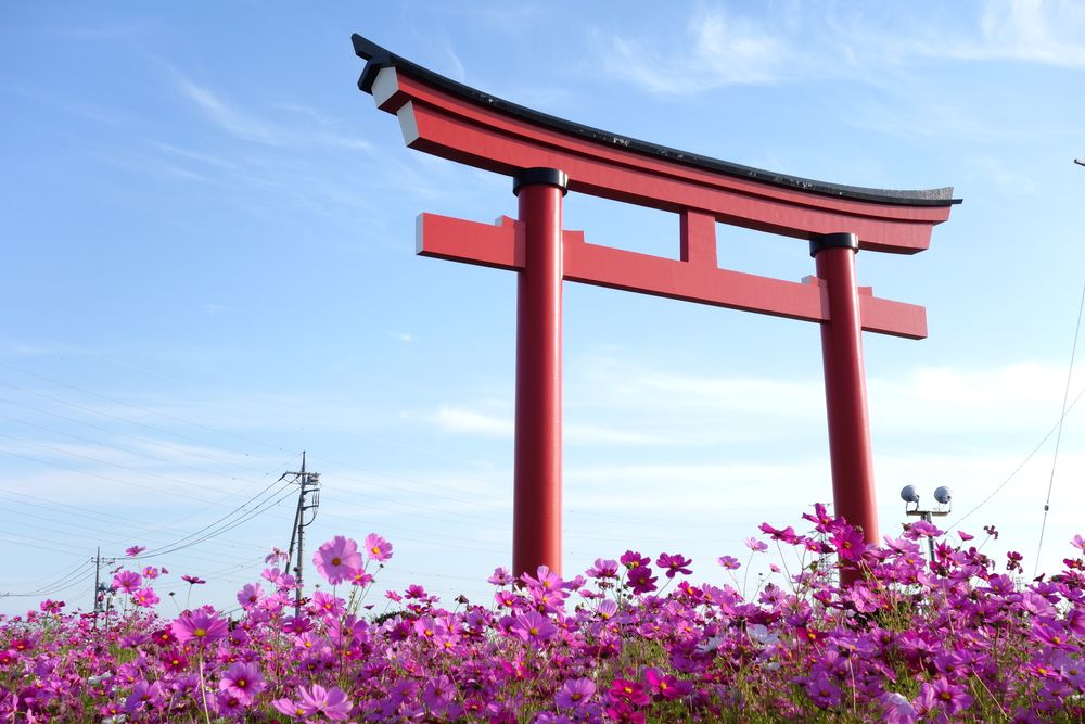 小泉稲荷神社の画像 - 4枚目