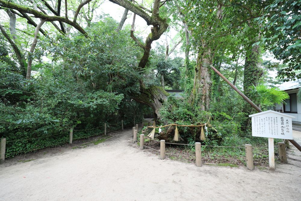 大山祇神社の画像 - 4枚目