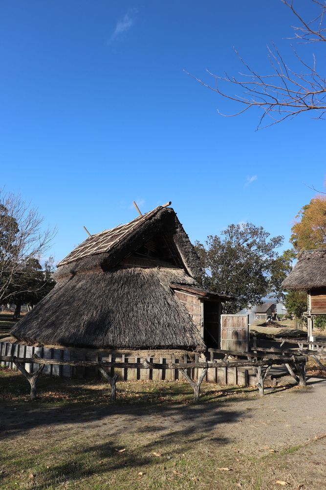 登呂遺跡の画像 - 4枚目