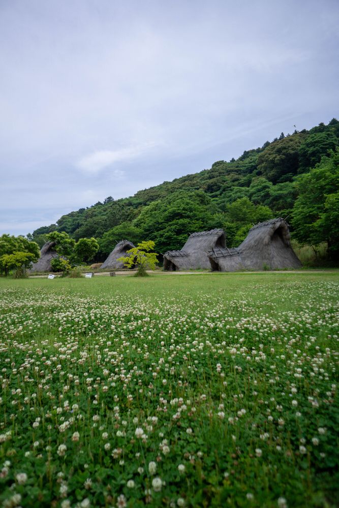 登呂遺跡の画像 - 5枚目