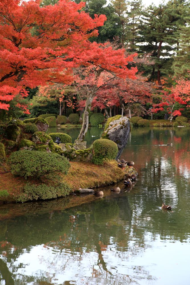 兼六園 霞ヶ池の画像 - 2枚目