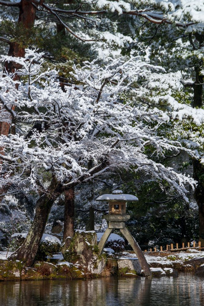 兼六園 霞ヶ池の画像 - 3枚目