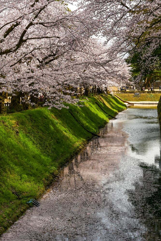 金沢城公園の画像 - 3枚目