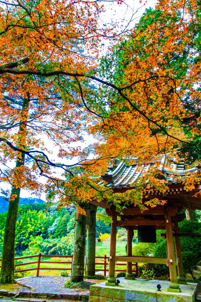大興善寺の画像 - 3枚目