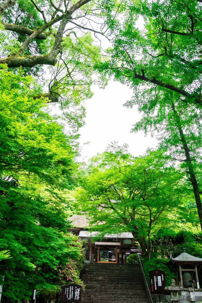 大興善寺の画像 - 6枚目