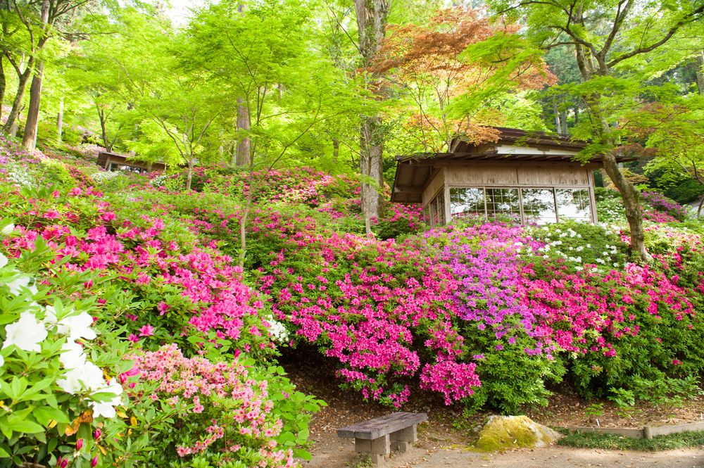 大興善寺の画像 - 7枚目