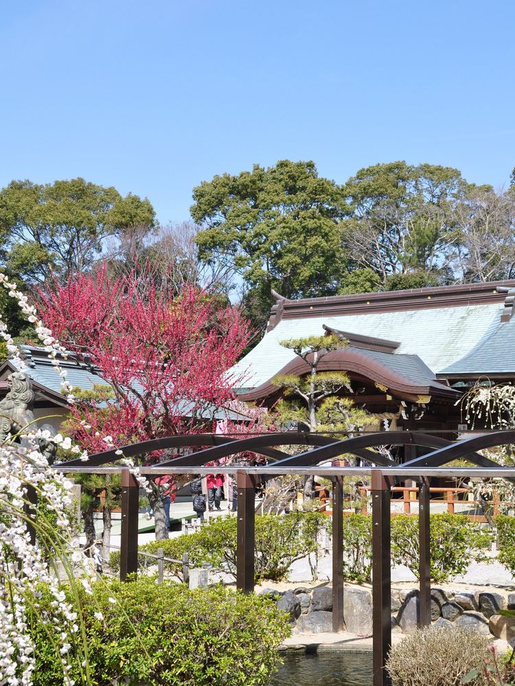 結城神社の画像 - 3枚目