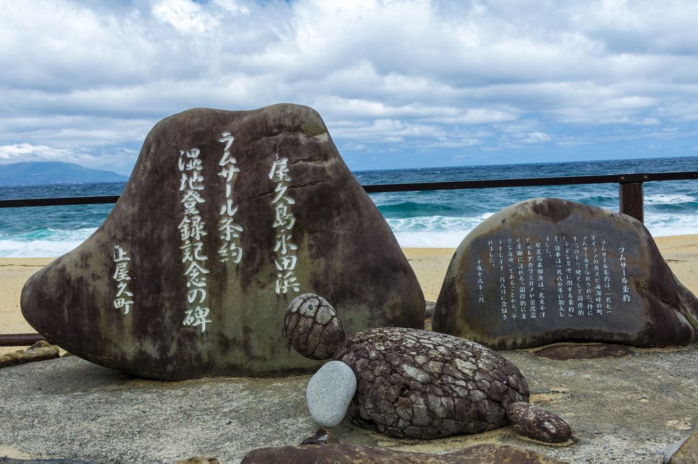 永田いなか浜の画像 - 6枚目