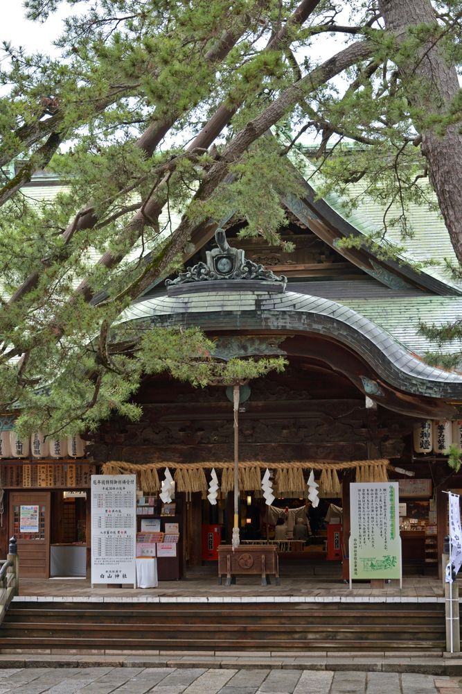 新潟総鎮守 白山神社の画像 - 3枚目
