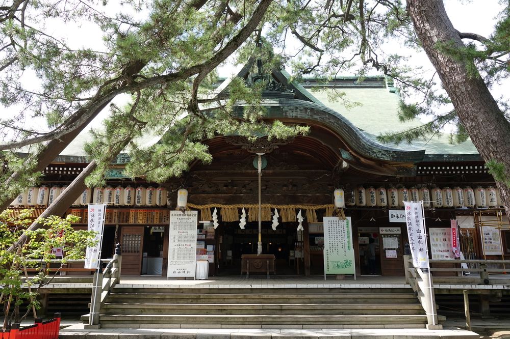 新潟総鎮守 白山神社の画像 - 5枚目