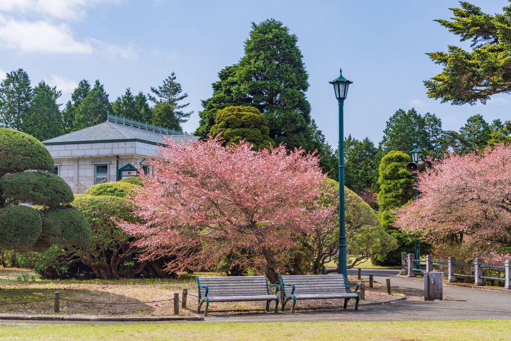 恩賜箱根公園の画像 - 4枚目