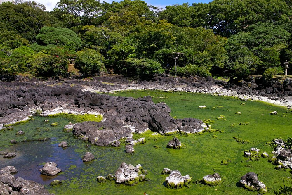 三島市立公園 楽寿園の画像 - 4枚目