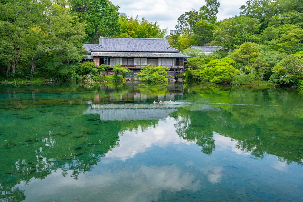 三島市立公園 楽寿園の画像 - 5枚目