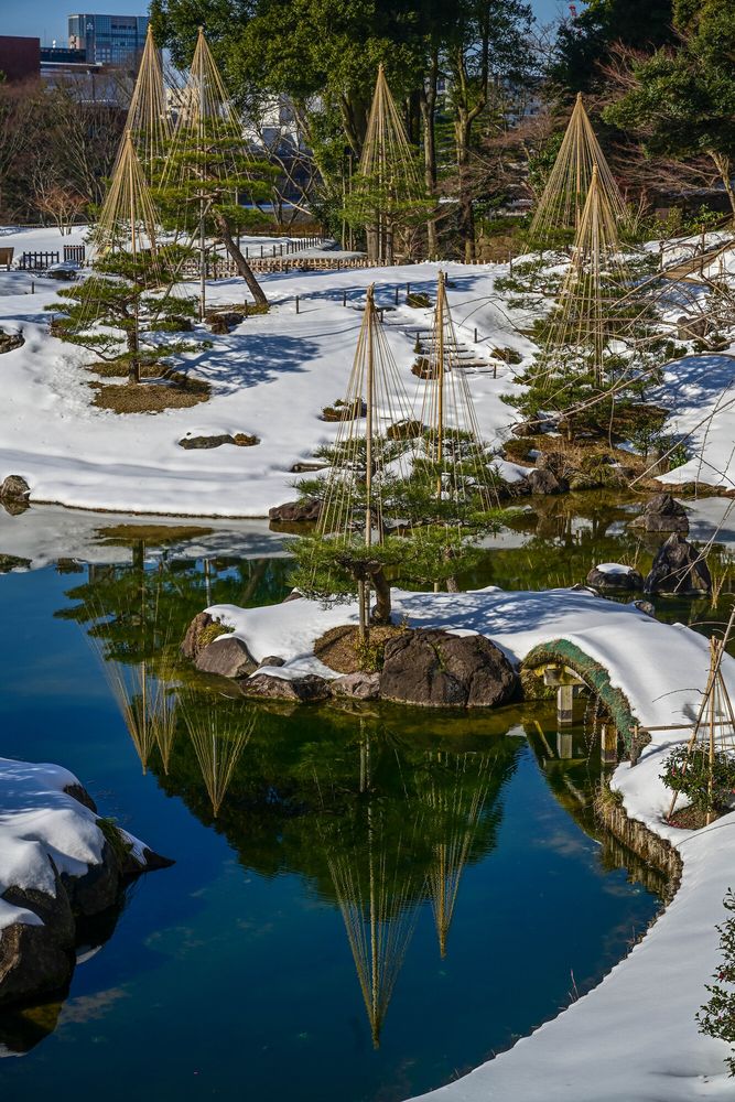玉泉院丸庭園の画像 - 4枚目