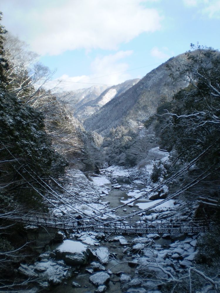 かずら橋の画像 - 2枚目