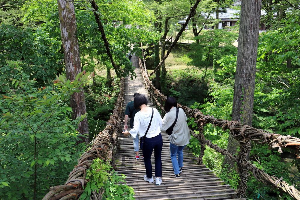 かずら橋の画像 - 5枚目