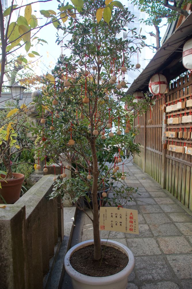 錦天満宮の画像 - 4枚目