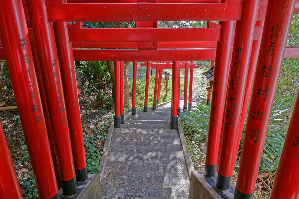 赤間 神宮 バス 人気