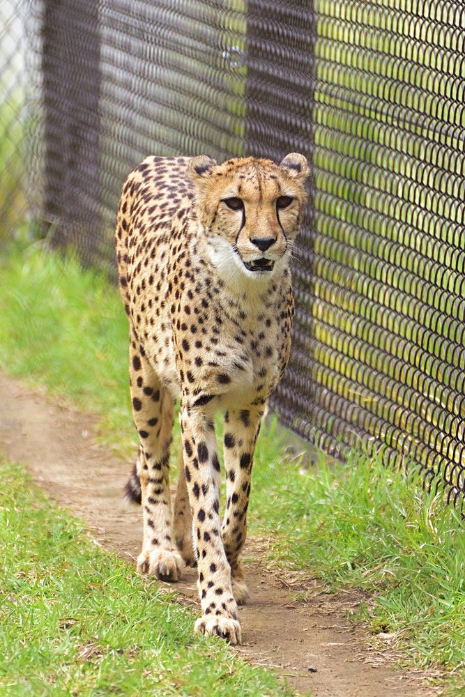 千葉市動物公園の画像 - 5枚目
