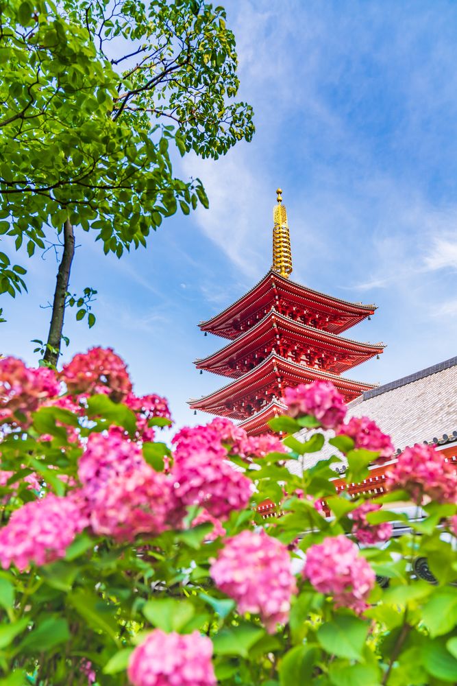 浅草寺 五重塔の画像 - 2枚目