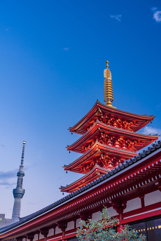 浅草寺 五重塔の画像 - 7枚目
