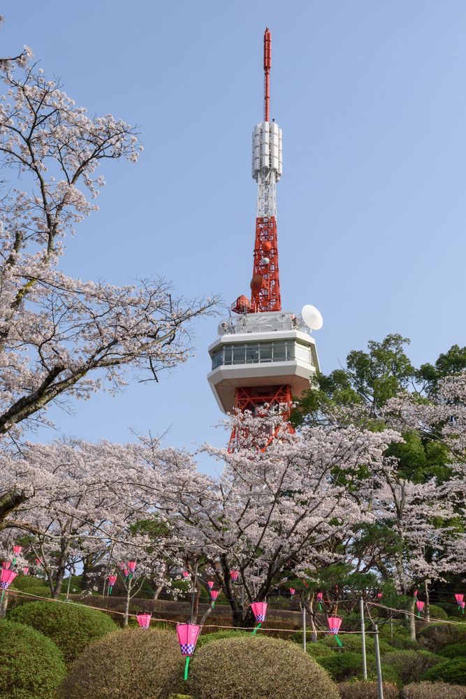 八幡山公園の画像 - 2枚目
