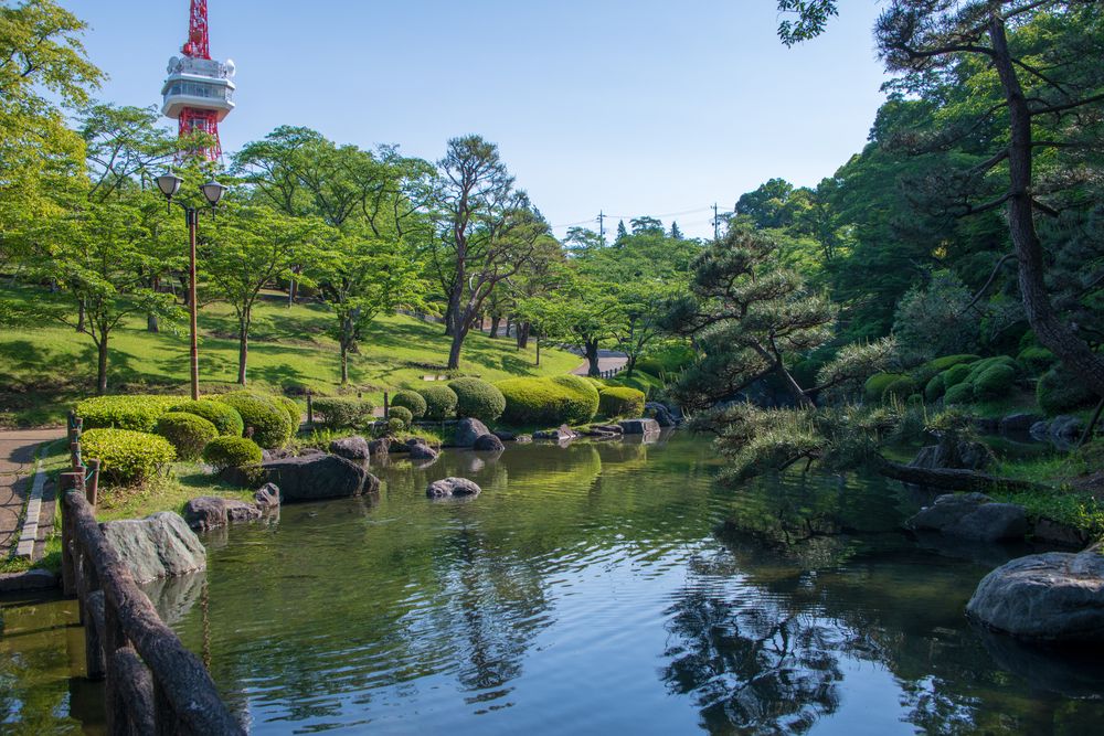 八幡山公園の画像 - 4枚目