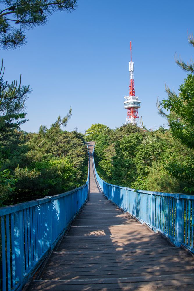 八幡山公園の画像 - 5枚目