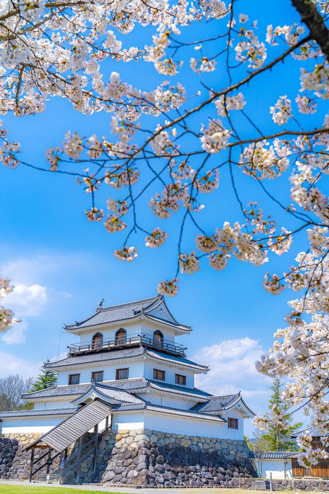 白石城の画像 - 2枚目