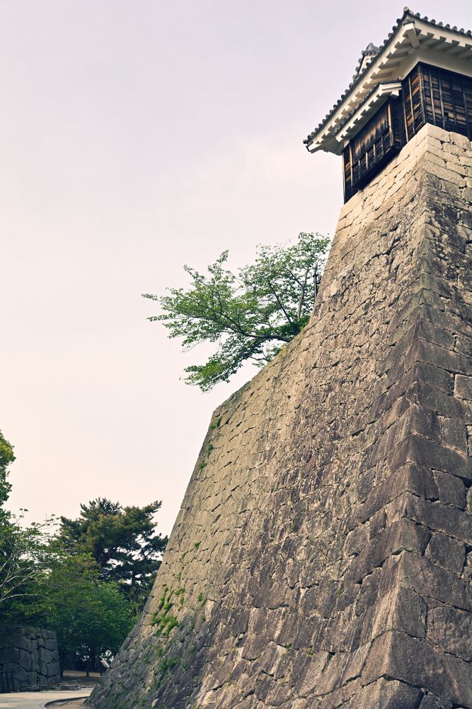 松山城の画像 - 2枚目
