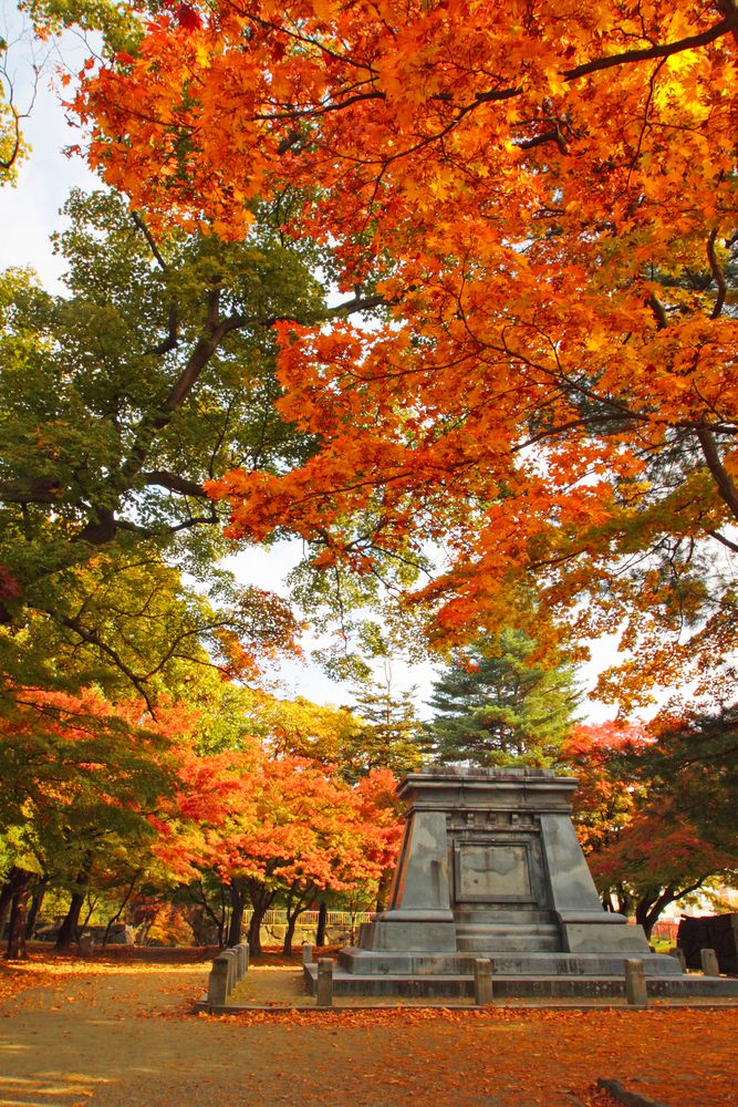 盛岡城跡公園(岩手公園)の画像 - 2枚目
