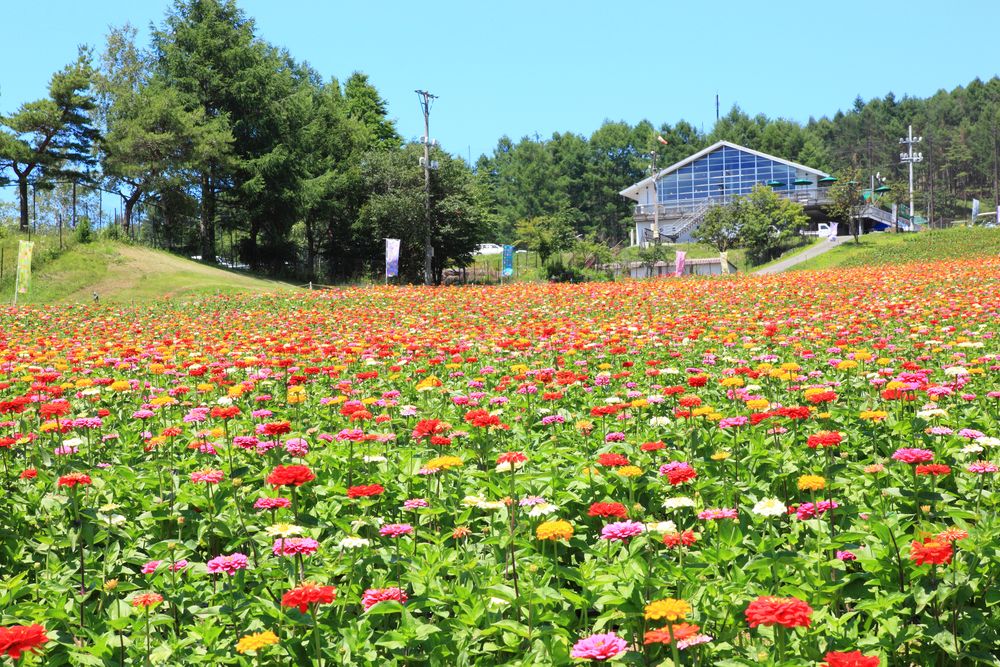 富士見高原リゾート 花の里の画像 - 3枚目
