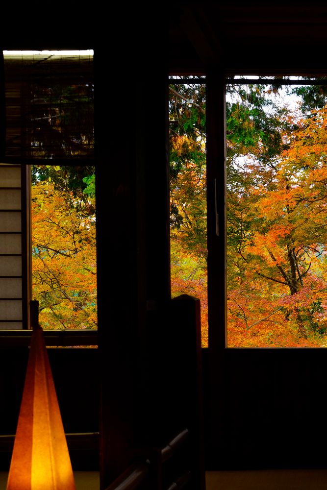 吉水神社の画像 - 4枚目