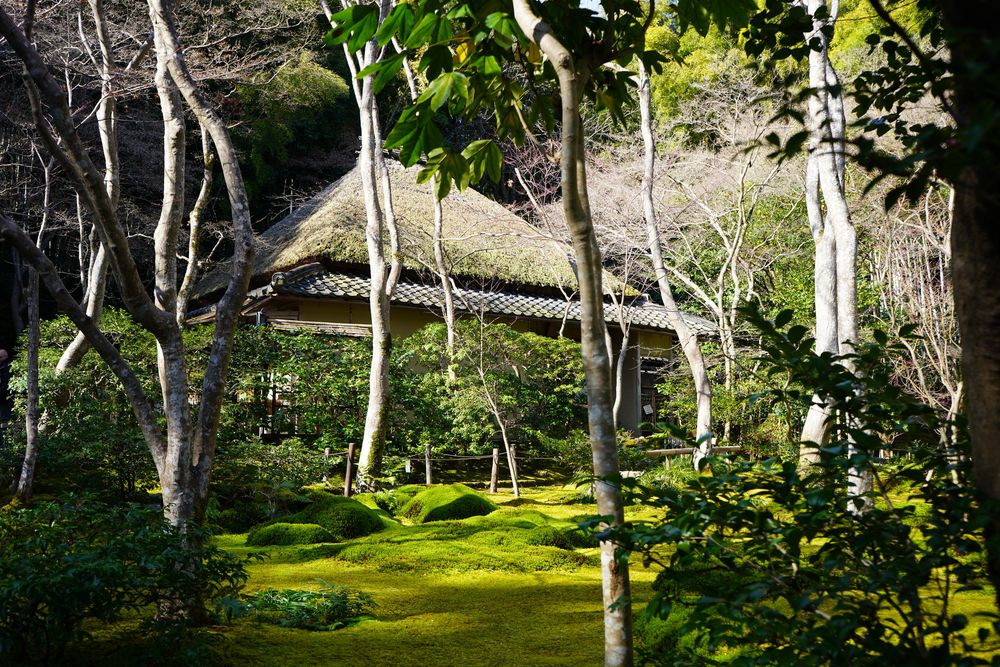 祇王寺の画像 - 2枚目