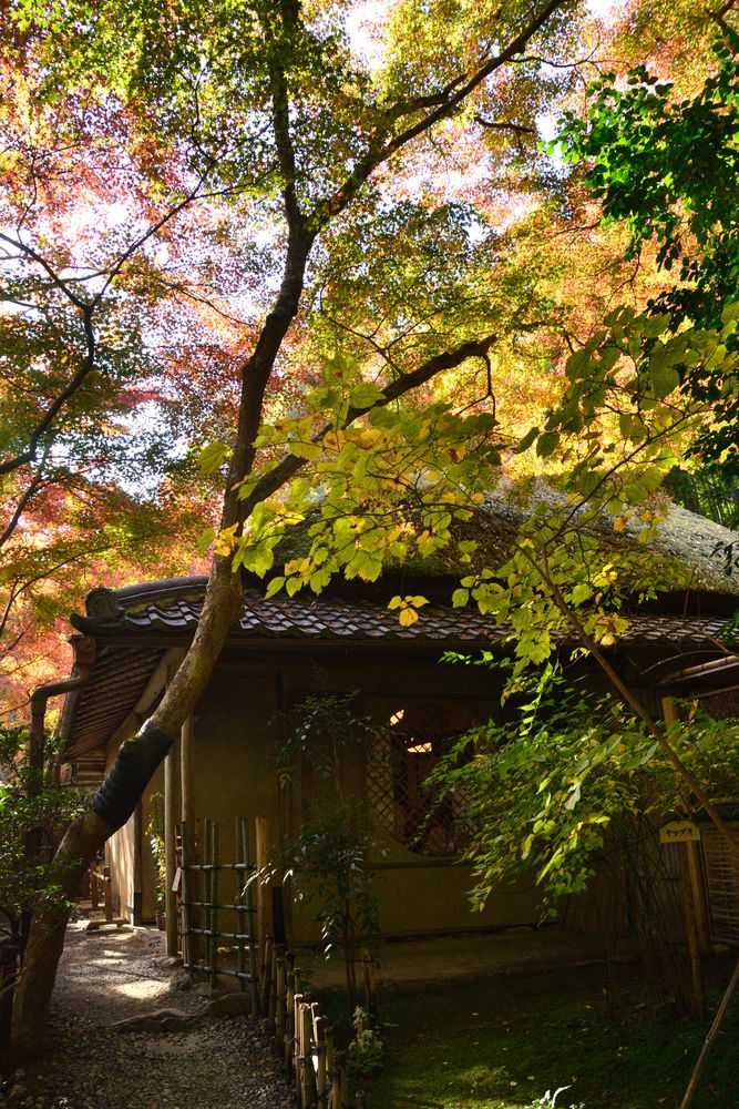 祇王寺の画像 - 4枚目