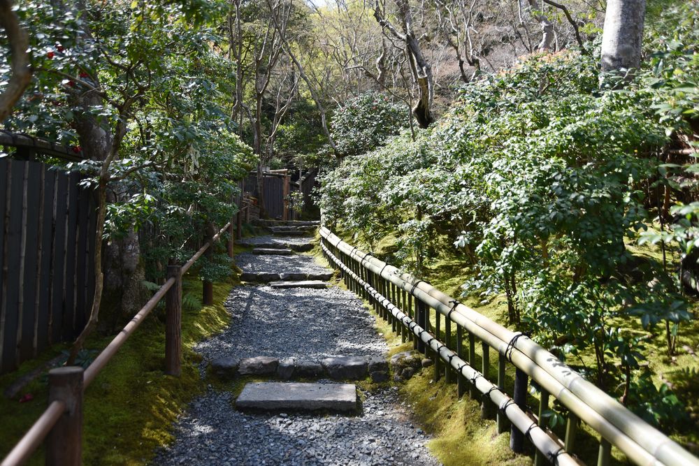 祇王寺の画像 - 5枚目
