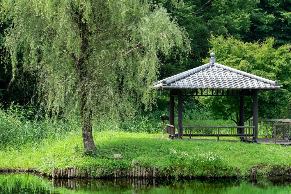 古河総合公園の画像 - 4枚目