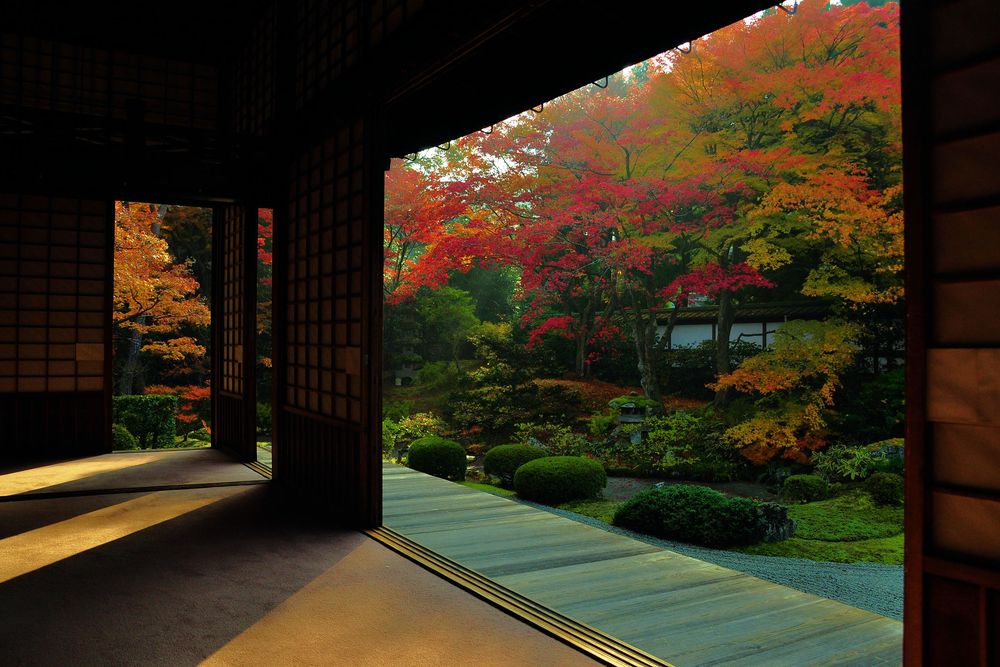 泉涌寺の画像 - 2枚目