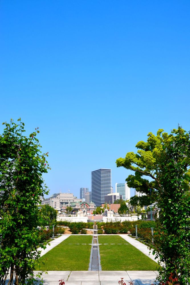 中之島公園の画像 - 2枚目