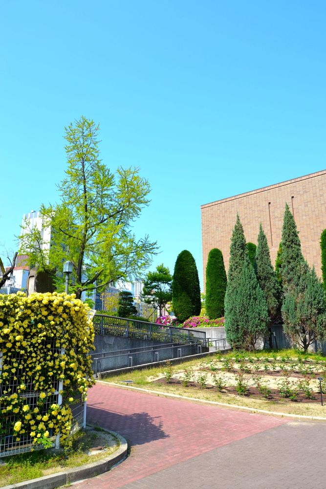 中之島公園の画像 - 3枚目