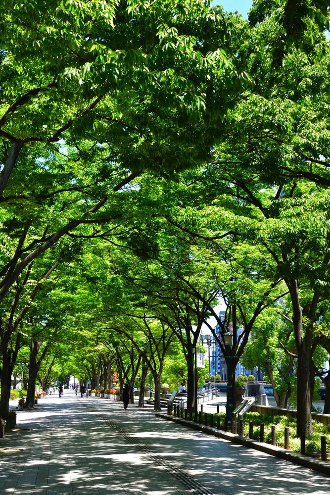 中之島公園の画像 - 4枚目