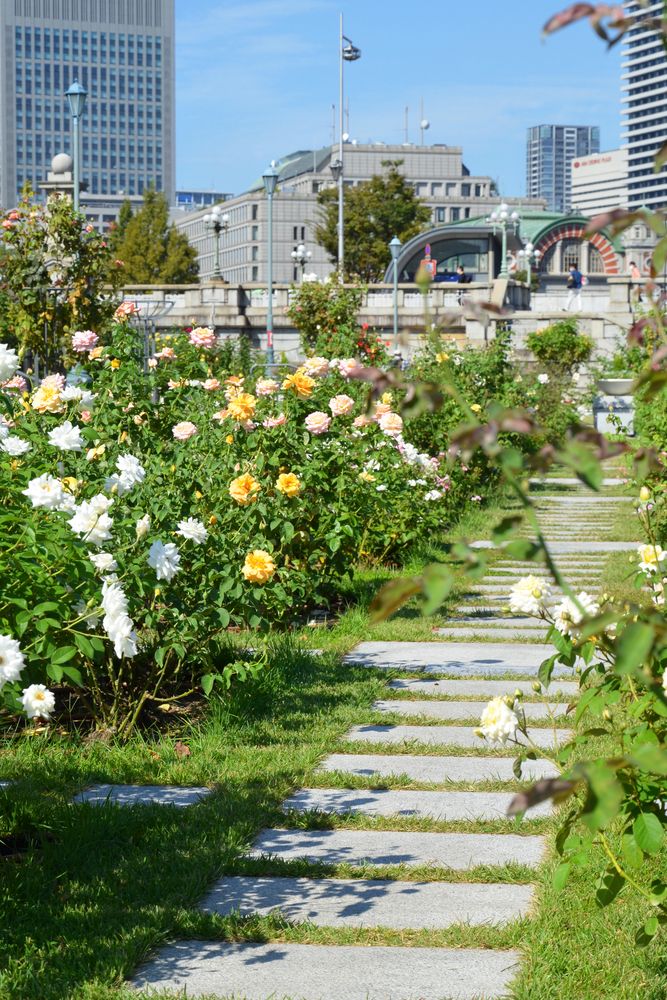 中之島公園の画像 - 5枚目