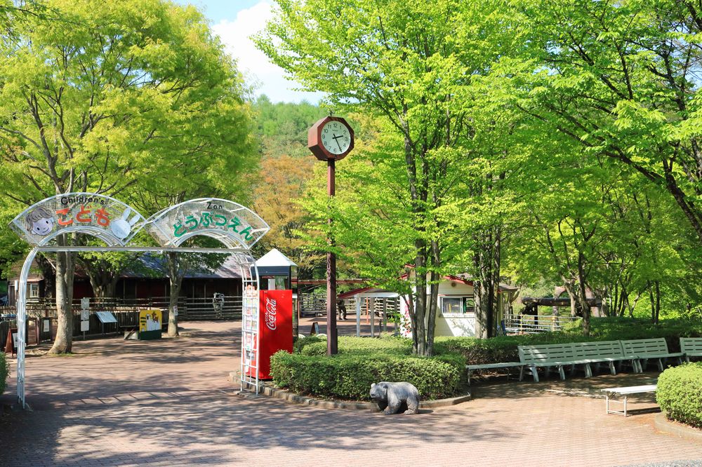 盛岡市動物公園 ZOOMOの画像 - 6枚目