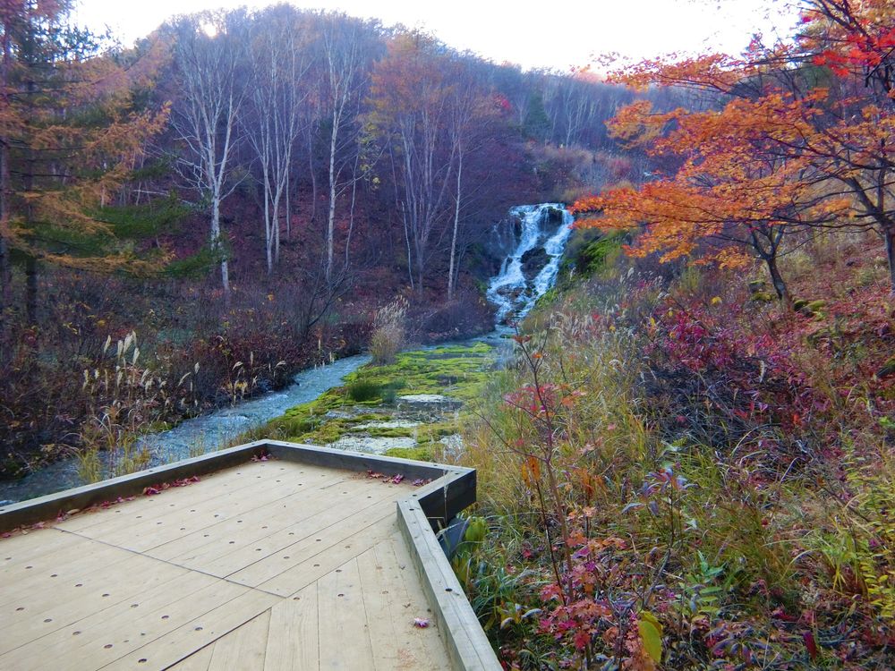 チャツボミゴケ公園の画像 - 2枚目