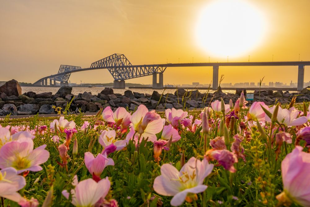 若洲海浜公園&江東区立若洲公園の画像 - 4枚目