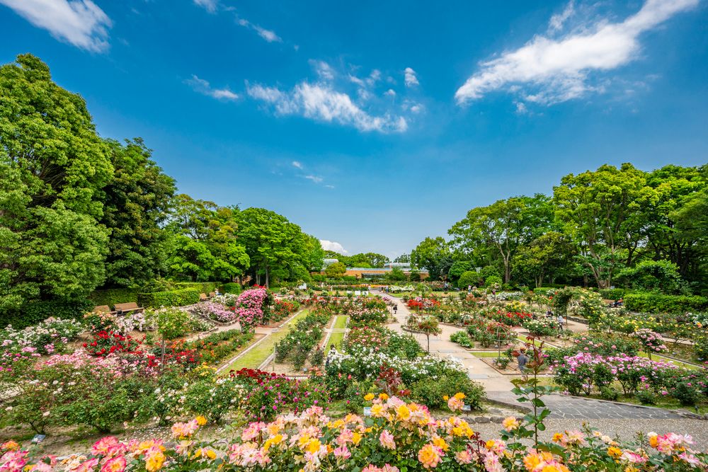 福岡市動植物園の画像 - 5枚目