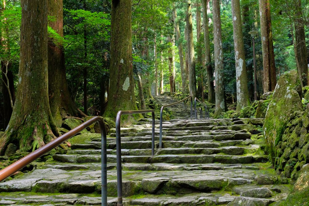 飛瀧神社の画像 - 5枚目